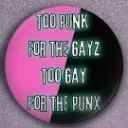 Pins 2 Gay 4 ze punx